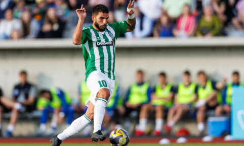 Vilnius 'Žalgiris' could not defeat Alytus 'Dainava' club at home