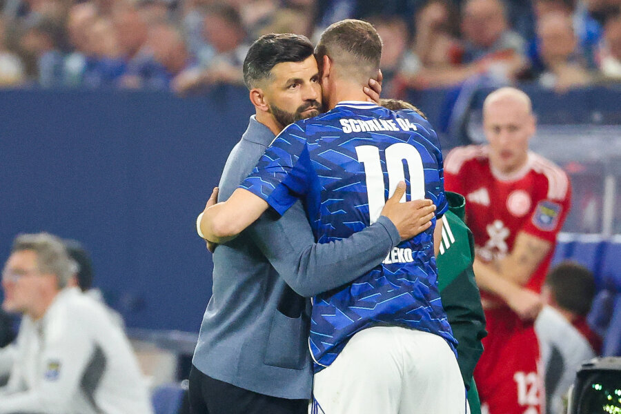 Schalke returns to the Bundesliga